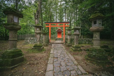 自然风光,建筑,春日社,国外,植物,树木,树,现代建筑