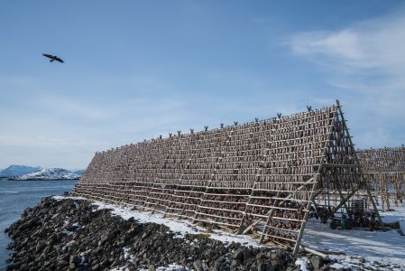自然风光,海洋,江河,鱼类,天空
