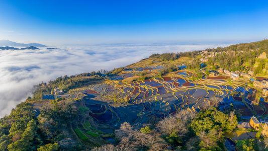 森林,自然风光,山川,湖泊,天空,全景