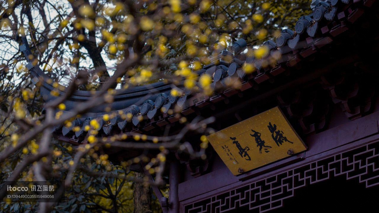 特写,历史古迹,城镇