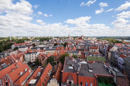 建筑,都市,波兰,托伦,城镇,全景,俯瞰,国外,天空,道路,树木