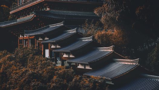 建筑,航拍,俯瞰,传统建筑,历史古迹,城镇,自然风光,森林,植物,树木