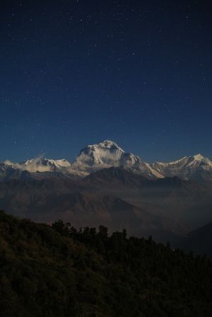 国外,雪山,天空,尼泊尔,凌晨,山峦,自然风光,森林,清晨,特写,树木,冰雪