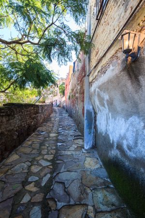 建筑,墨西哥,巷道,植物,国外,城镇,道路,树木