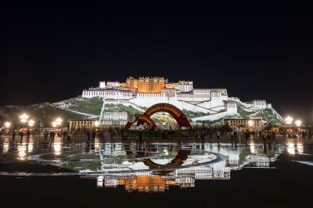 西藏,建筑,景点,夜晚,城镇