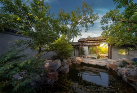 中式园林,中式院落,自然风景,植物,城镇,树,建筑