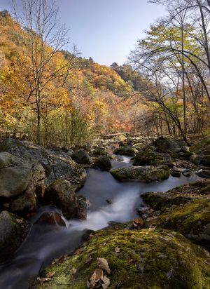 自然风光,风景,江河,植物,岩石,树木,地衣,天空
