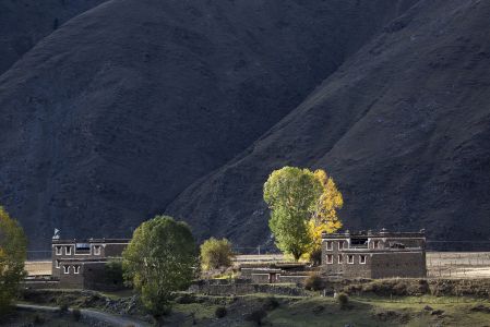 城镇,高山,建筑,全景,树木,道路