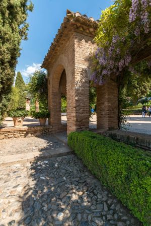 建筑,花,灌木,树木,植物,城镇,生物