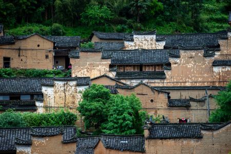 建筑,历史古迹,村镇,俯瞰,航拍,植物,树木,城镇,森林