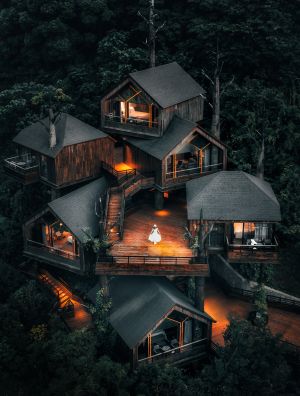 夜晚,建筑,航拍,俯瞰,历史古迹,自然风光,城镇,森林,植物,树木,全身像,环境人像