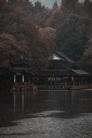 中国,湖泊,自然风光,森林,中式传统建筑,全景,城镇,建筑