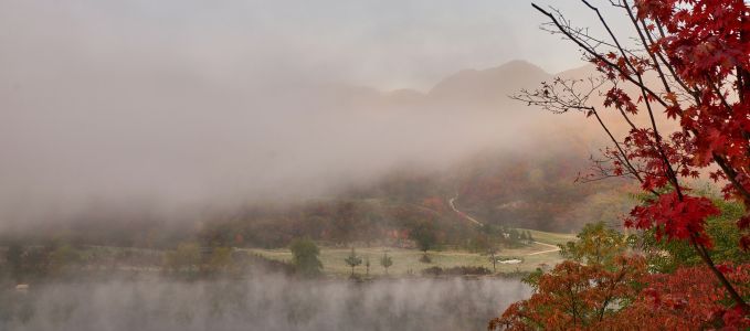 自然风光,云雾,植物,山川,湖泊,树木