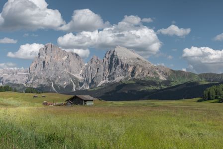 自然风光,高原,山峦,天空,白云,山川,全景,冰雪,青草,草原,建筑,树木