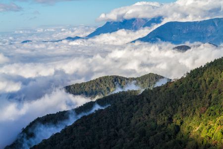 白云,云雾,中国,阿里山,自然风光,台湾,山川