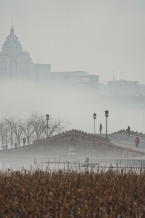 历史古迹,城镇,天空,雾,建筑,植物,树木