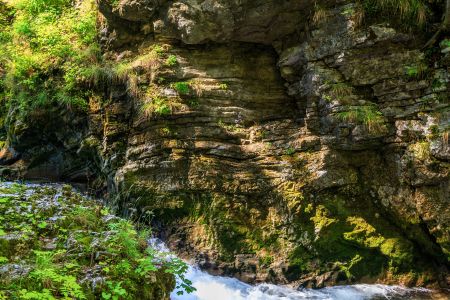 自然风光,植物,瀑布,树,峡谷,江河,岩石,树叶,树木