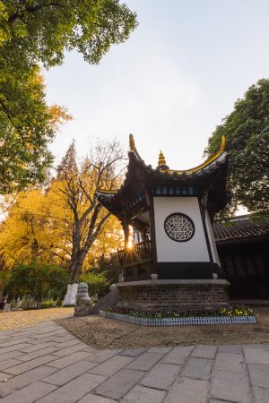 建筑,中国,安徽,秋天,合肥,传统建筑,城镇,天空,道路,特写,植物,树木,太阳,白云