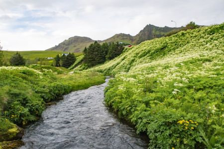 植物,自然风景,山峦,自然风光,江河,草原