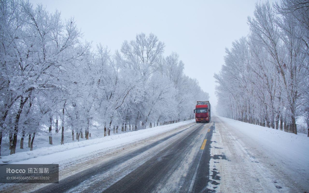 冰雪,植物,大客车