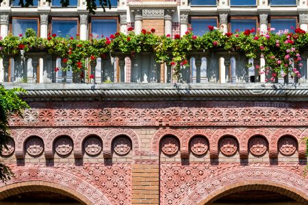 城镇,国外,建筑,植物,树木,乌克兰