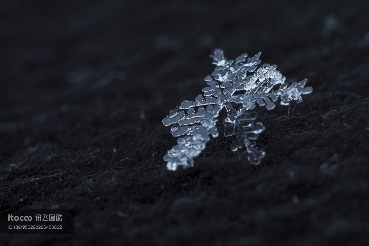 雪花,水晶,湿