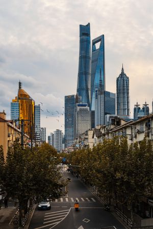 城镇,建筑,上海,现代建筑,道路,城市道路