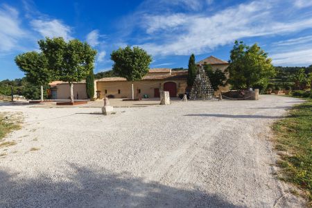 街道,树木,城镇,建筑,道路,植物,天空,白云