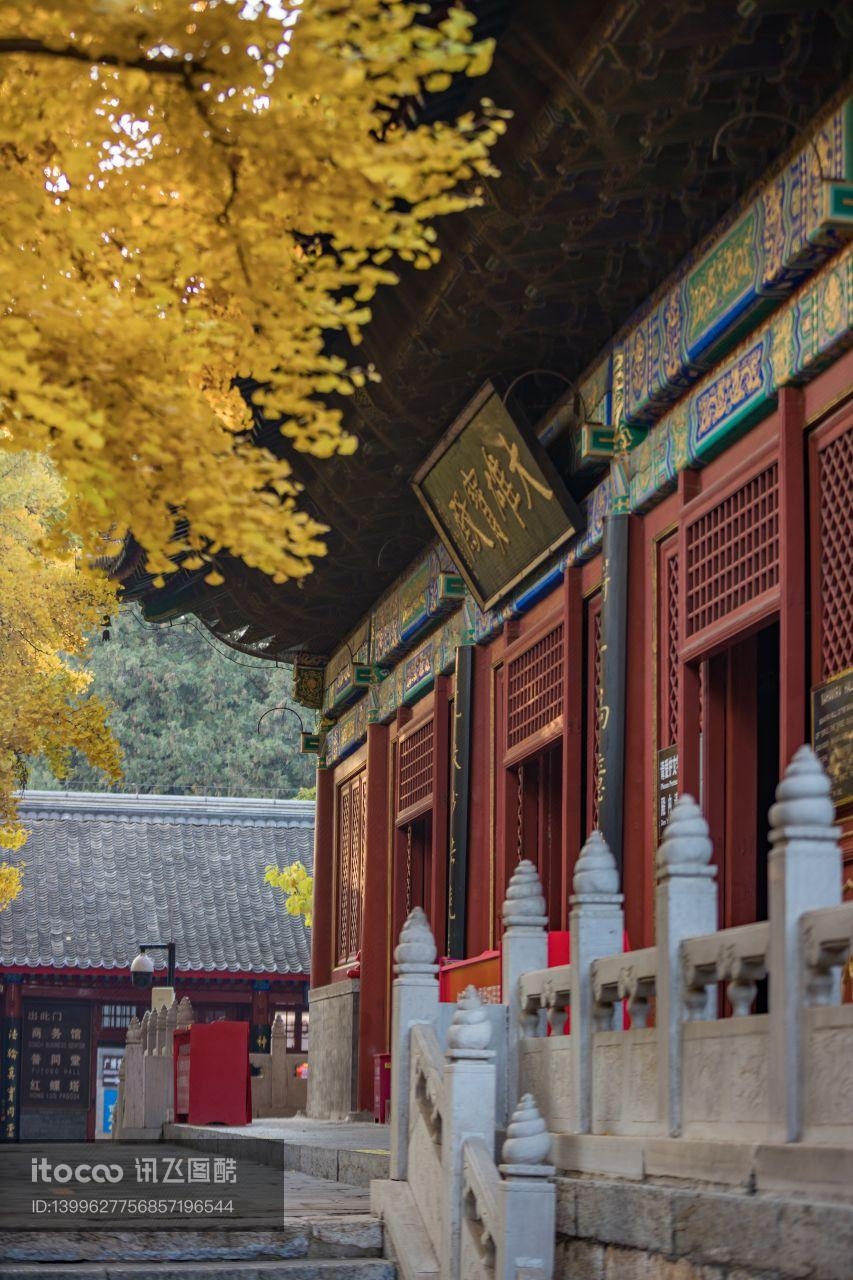 建筑,中国,秋天