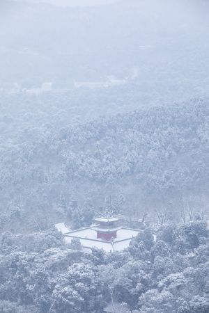 冬天,中国,北京,植物,树木,碧云寺,历史古迹,寺庙,自然风光,森林,雪,俯瞰,建筑