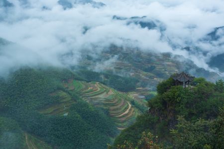 植物,自然风景,梯田,自然风光,雾,航拍,俯瞰