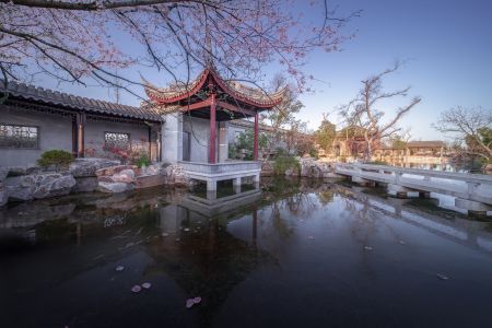 传统建筑,自然公园,自然风景,建筑,城镇,天空,白云,景点,古典园林,树叶,植物