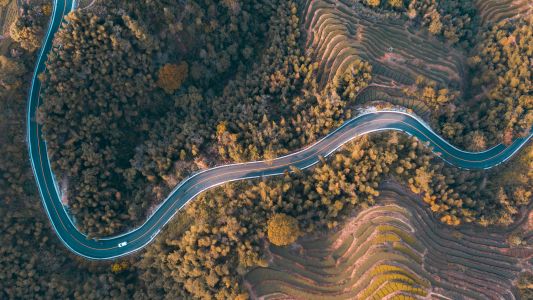 自然风光,植物,树木,公路,梯田,道路,交通工具,汽车
