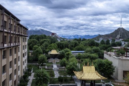 西藏,拉萨,白云,拉萨香格里拉大酒店,自然风光,城镇,植物,树木,建筑,山川