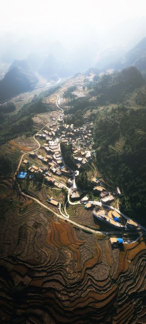 自然风光,全景,航拍,森林,平原,俯瞰,植物,树木,天空,村镇,建筑,雾,山川,道路