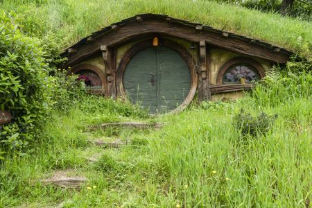 植物,草原,民居,城镇,自然风光,国外,青草,新西兰