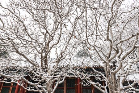 北京,颐和园,城镇,建筑