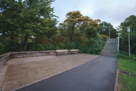 公路,现代建筑,自然风光,生物,森林,天空,植物,树木,道路