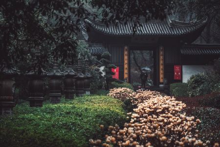 传统建筑,建筑,历史古迹,城镇,植物,树木,雨天,青草,环境人像