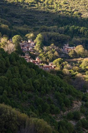 自然风光,山川,森林,川西,房屋,中国,四川,城镇,建筑,航拍,植物,树木