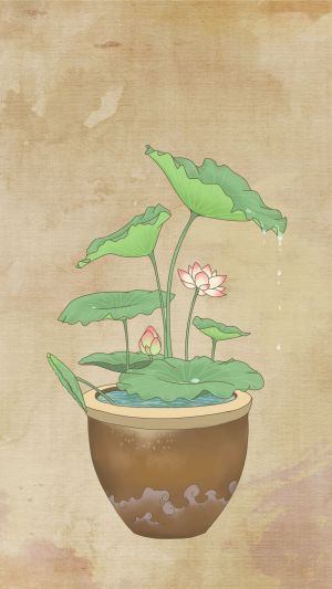 盆栽荷花,植物,设计素材,设计元素,插画,扁平插画,中国风