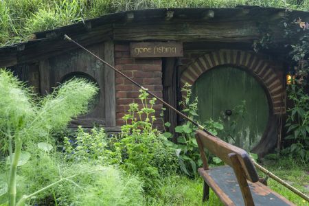 植物,草原,民居,城镇,自然风光,国外,青草,新西兰