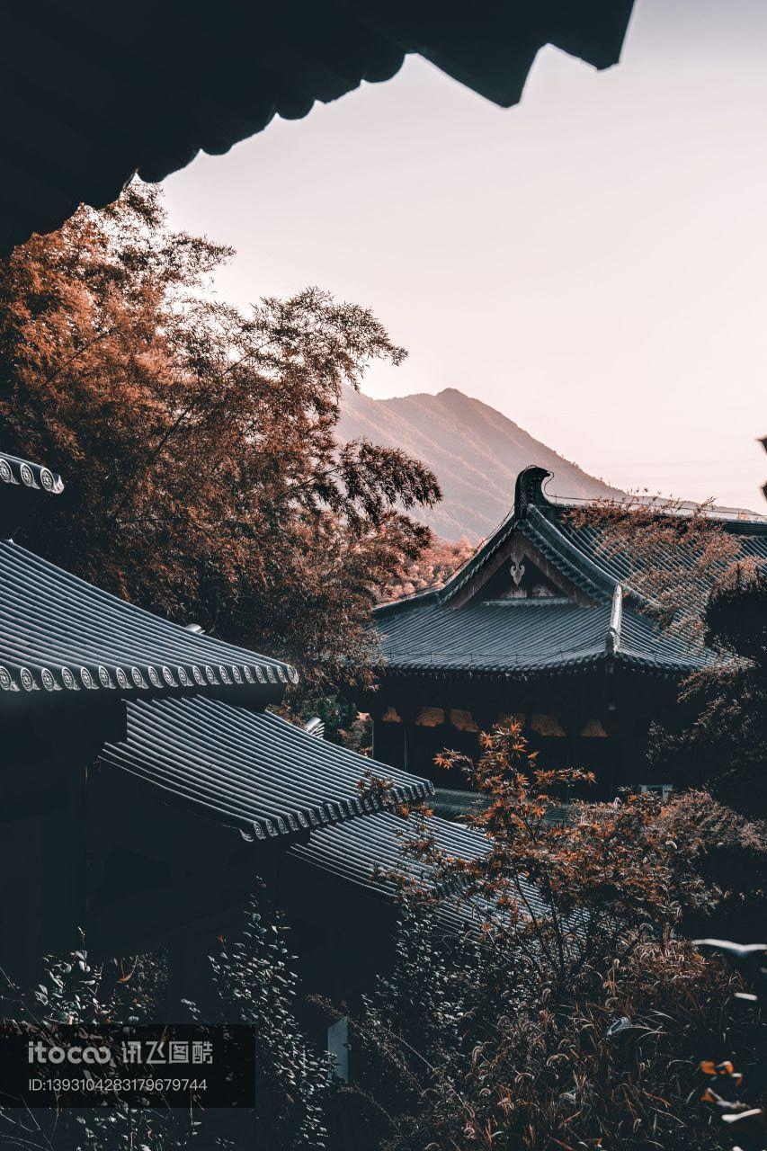 历史古迹,建筑,树木