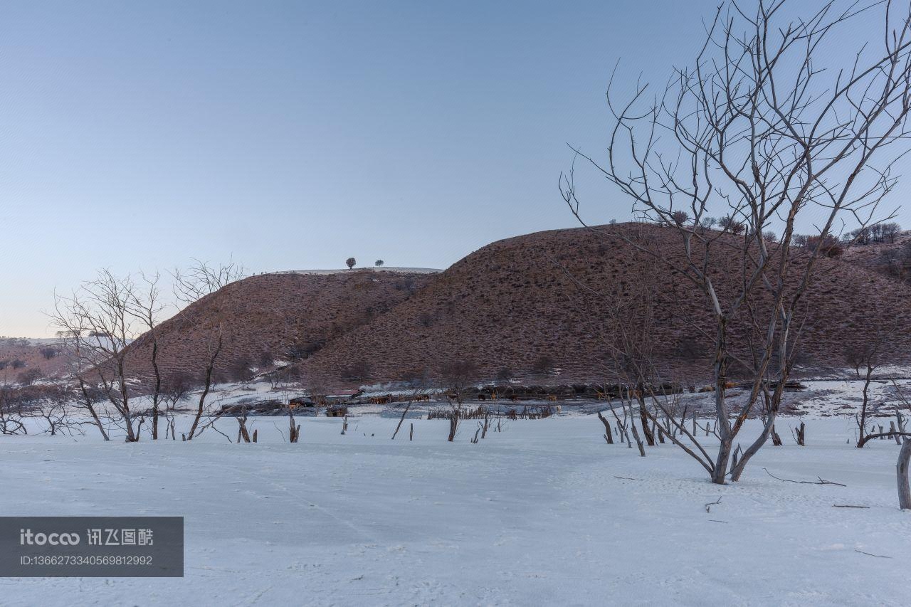 冰雪,雪原,自然风光