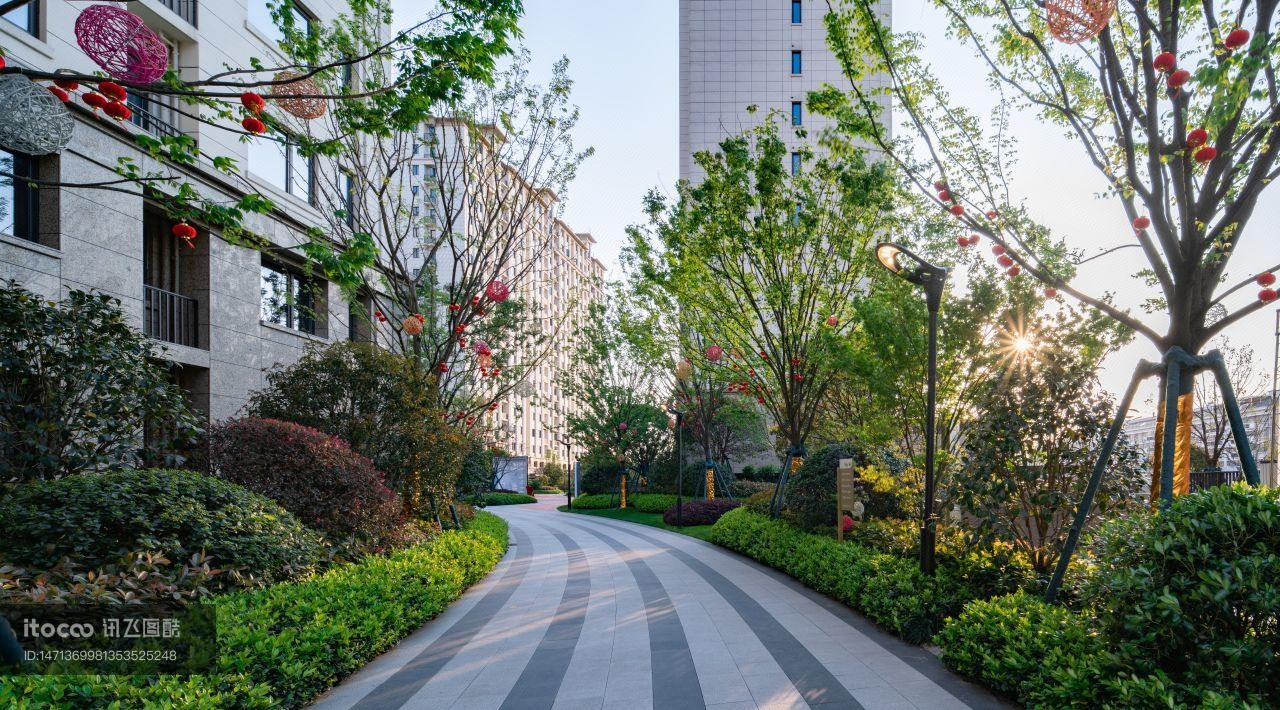 居住环境,街道,小别墅