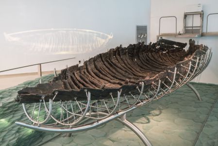 历史古迹,动物,鸟类,生物,以色列