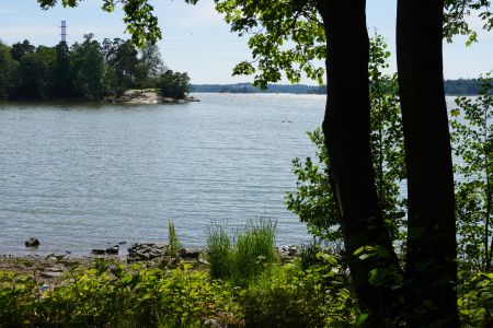 自然风光,国外,湖泊,植物,树木,江河,生物,灌木,青草,树,芬兰