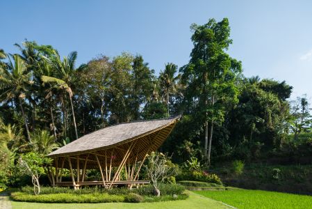 树,自然公园,现代建筑,国外,自然风光,植物,印度尼西亚,巴厘岛