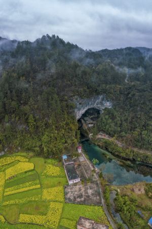 自然风光,森林,江河,天空,全景