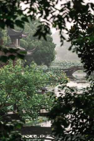 建筑,历史古迹,自然风光,树木,植物,天空,湖泊,桥